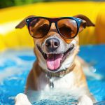 A imagem mostra um cachorro feliz com óculos escuros, curtindo o verão pet na piscina.