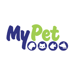 Patricinha Pet: Compre Produtos Pet Direto da Fábrica - Coleiras