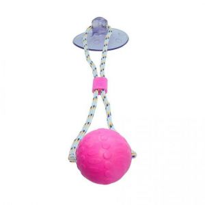 Brinquedo Truqys Push Ball Pet Tamanho M