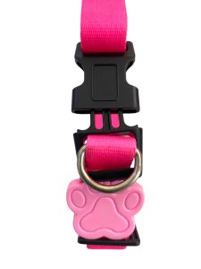 Coleira Neon Para Cachorros, Extra Pequeno, Coleira Ajustável, Passeio e Viagem, Confortável e Resistente, Rosa