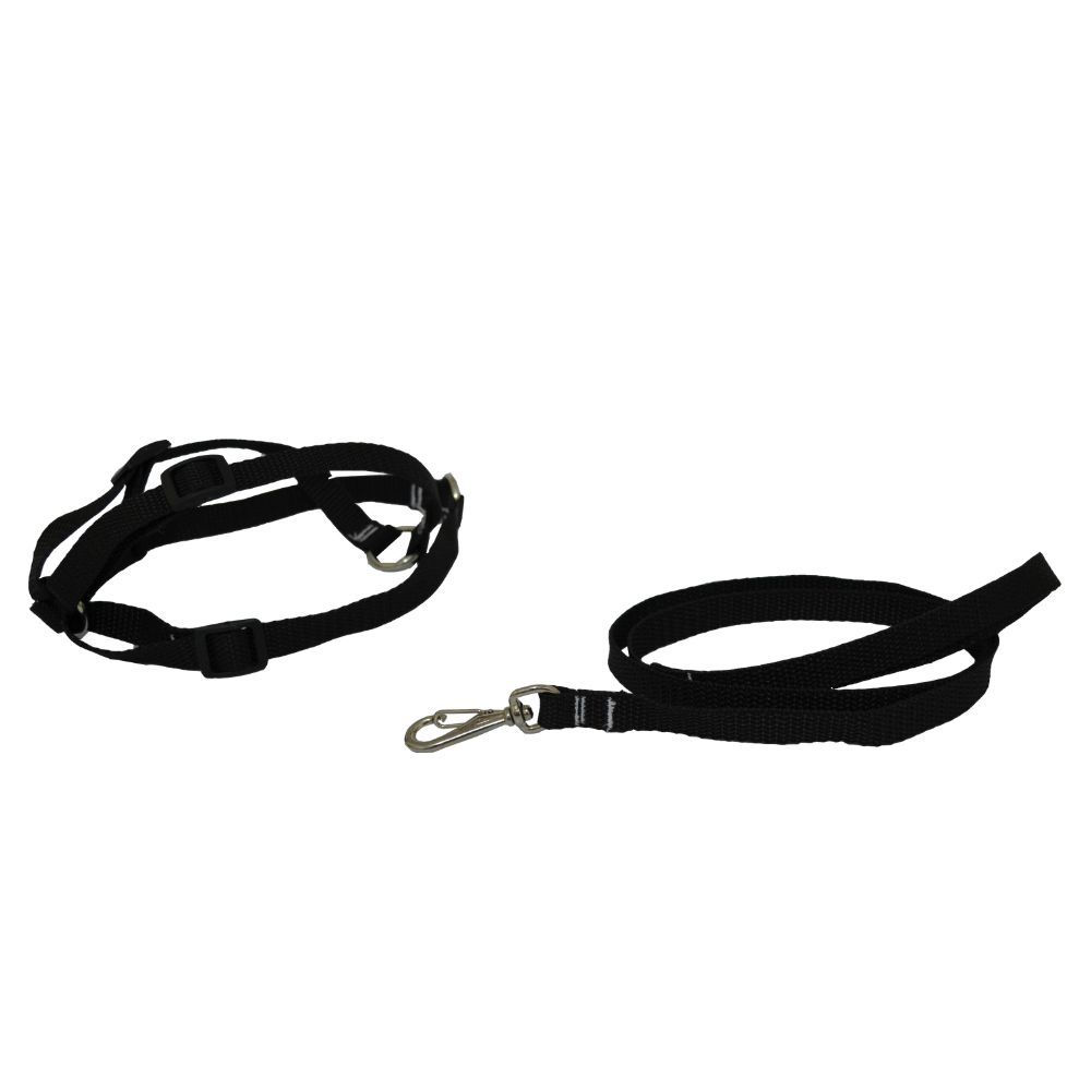 Peitoral para Cachorros, Peitoral e Guia para Cães, Peitoral Americano com Guia Nylon, Resistencia e Confortável