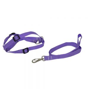 Peitoral para Cachorros, Peitoral e Guia para Cães, Peitoral Americano com Guia Nylon, Resistencia e Confortável