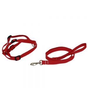 Peitoral para Cachorros, Peitoral e Guia para Cães, Peitoral Americano com Guia Nylon, Resistencia e Confortável